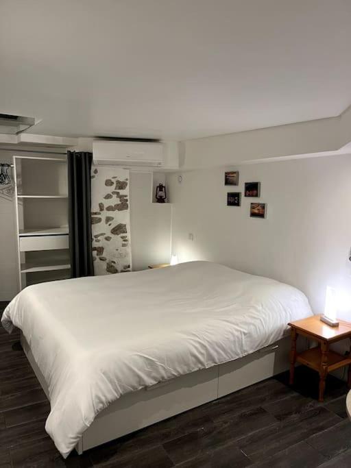Appartement Climatise Albi - Centre Exterior foto